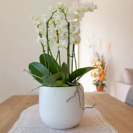 Palma De Mallorca 12