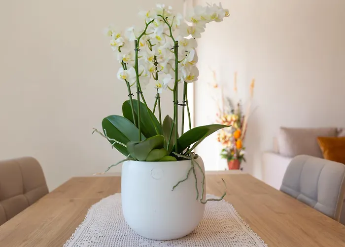 Palma De Mallorca 12